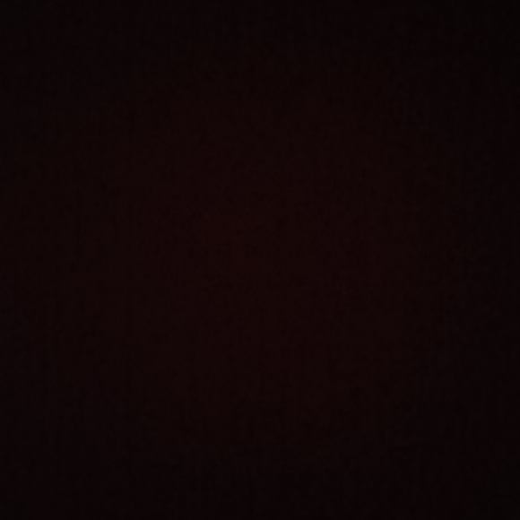 Meet your Posher, Gloria - Picture 1 of 1